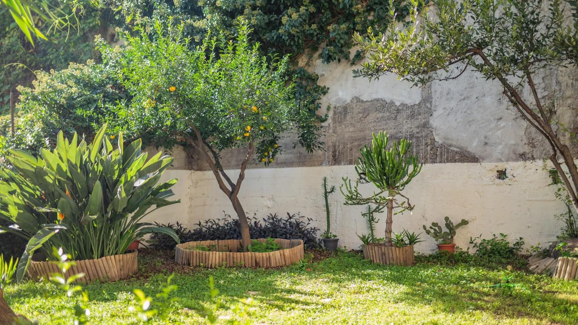 Atenasio Garden Suite, Elegance & Relaxation In The Heart Of Taormina